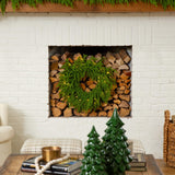 20" Pre-Lit Artificial Real Touch Norfolk Island Pine Wreath with 35 Warm White LED Lights and Natural Look