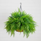 20” UV Resistant Artificial Mixed Fern Hanging Basket (Indoor/Outdoor)