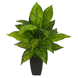 21” Dieffenbachia Artificial Plant in Black Planter