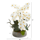 21” Phalaenopsis Orchid Artificial Arrangement in Gray Vase