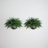 21" UV Resistant Artificial Fern in Hanging Basket (Indoor/Outdoor) - Set of 2