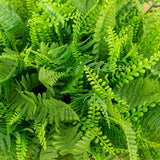 22” UV Resistant Artificial Fern in Decorative Urn Planter (Indoor/Outdoor)