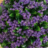 22” UV Resistant Artificial Flowering Ball Topiary in Decorative Urn Planter (Indoor/Outdoor)