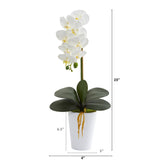 23” Phalaenopsis Orchid Artificial Arrangement in White Vase