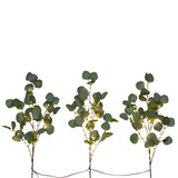 23” Pre-Lit 36 LED Artificial Eucalyptus Branch Stems - Set of 3
