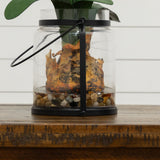 24” Amaryllis w/Vase