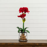 24” Amaryllis w/Vase