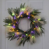 24" Artificial Balsma Fir Pine and Pampas Wreath with 50 Color Changing LED Lights