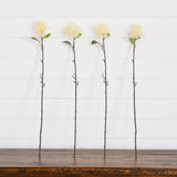 24" Artificial Pincushion Protea Flower Stem - Set of 4