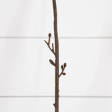 24" Artificial Pincushion Protea Flower Stem - Set of 4