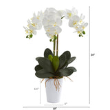 24” Phalaenopsis Orchid Artificial Arrangement in White Vase