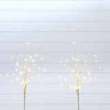 24" Pre-Lit Artificial White Birch Branches with 80 Warm White LED Lights - Set of 2