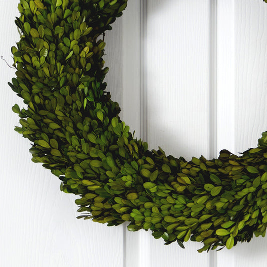 24” Preserved Boxwood Wreath