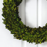 24” Preserved Boxwood Wreath