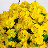 24" UV Resistant Artificial Chrysanthemum Hanging Basket (Indoor/Outdoor)