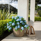 24" UV Resistant Artificial Hydrangea Hanging Plant (Indoor/Outdoor) - Set of 2