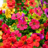 24" UV Resistant Artificial Daisy Hanging Basket DIY Kit (Indoor/Outdoor)