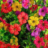 24" UV Resistant Artificial Daisy Hanging Basket DIY Kit (Indoor/Outdoor) - Set of 2