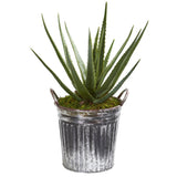 25” Aloe Artificial Plant in Vintage Metal Bucket