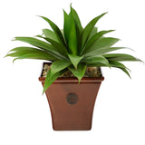 26” Agave Succulent Artificial Plant in Brown Planter