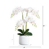 26” Artificial Phalaenopsis Orchid Arrangement in Decorative Ceramic Vase (Real Touch)