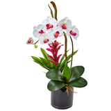 26” Orchid and Bromeliad in Glossy Black Cylinder