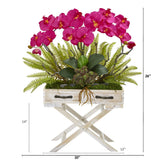 26” Orchid, Fern and Succulent Arrangement in Drawer Planter