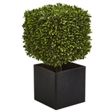 27” Boxwood Artificial Plant in Black Planter (indoor/Outdoor)