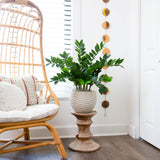 28” Artificial Zamioculcas Plant