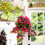 28” Bougainvillea Hanging Basket UV (Indoor/Outdoor)