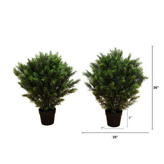 3’ Cedar Bush UV Resistant (Indoor/Outdoor) - Set of 2