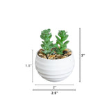 3" Artificial Mini Succulent Plants in Decorative White Oval Planters - Set of 6