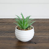 3" Artificial Mini Succulent Plants in Decorative White Oval Planters - Set of 6