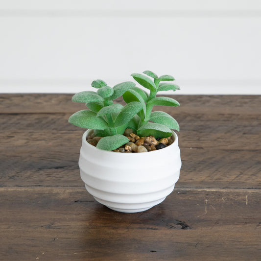 3" Artificial Mini Succulent Plants in Decorative White Oval Planters - Set of 6