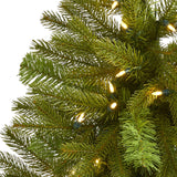 3' Cambridge Spruce Flat Back Artificial Christmas Tree with 50 Warm White (Multifunction) LED Lights and 113 Bendable Branches