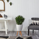 3’ Cedar Artificial Tree in White Planter with Stand (Indoor/Outdoor)