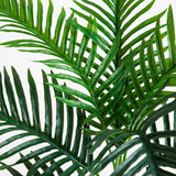 3' UV Resistant Artificial Double Robellini Palm Tree (Indoor/Outdoor)