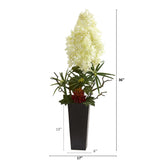 3’ Peegee Hydrangea and Succulent Artificial Arrangement in Black Vase