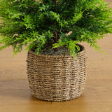 3'  Pre-Lit Artificial Lightly Snowed Cypress Christmas Tree with 38 Warm White LED Lights in Decorative Weaved Basket