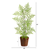 3’ Ruffle Fern Artificial Tree in Basket