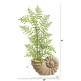 3’ Ruffle Fern Artificial Tree in Shell Shaped Planter