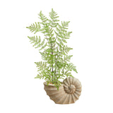 3’ Ruffle Fern Artificial Tree in Shell Shaped Planter