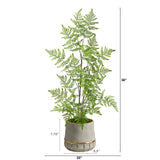 3’ Ruffle Fern Artificial Tree in Stoneware Planter with Gold Trimming