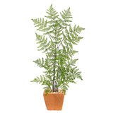 3’ Ruffle Fern Artificial Tree in Terra-Cotta Planter