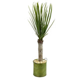 3’ Yucca Artificial Tree in Green Tin Planter