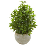 30” Coffee Leaf Artificial Plant in Sandstone Bowl (Real Touch)