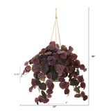 30” Peperomia Plant in Hanging Bucket (Real Touch)