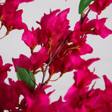 31” Artificial Pink Bougainvillea Arrangement in Vase