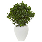 32” Peperomia Artificial Plant in White Planter (Indoor/Outdoor)