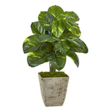 33” Dieffenbachia Artificial Plant in Country White Planter